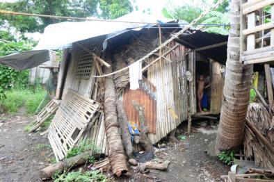 Unable to remove the coconut tree trunk that struck their house during Typhoon Haiyan, a doughnut seller and his son continue to live in perilous conditions and are potential project beneficiaries.